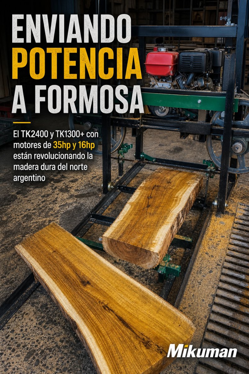 Imagen del Articulo