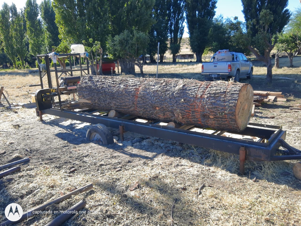 Image de l'article