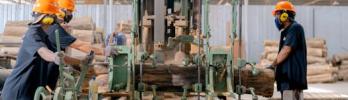 Automation in Sawmills: Advantages and Challenges