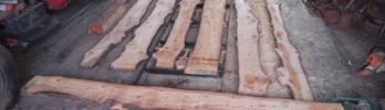Horizontal Cut vs. Vertical Cut: Which is the Better Option?