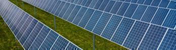 Renewable Energy in Sawmills: A Viable Option for the Future