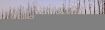 Sawmills as a Tool for Self-Sufficiency in Rural Areas