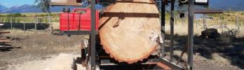 Portable Machinery vs. Stationary: Advantages and Disadvantages for Sawmills