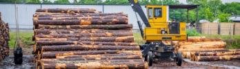 The Best Machines for Turning Logs into Building Material