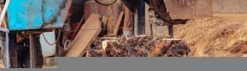 Ancillary Tools to Maximize Your Sawmill Performance