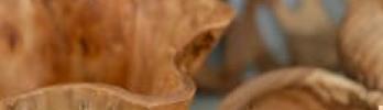 Creación de Piezas Únicas para Arquitectura Orgánica con Madera Propia