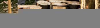 Myths and truths about fuel consumption in sawmills